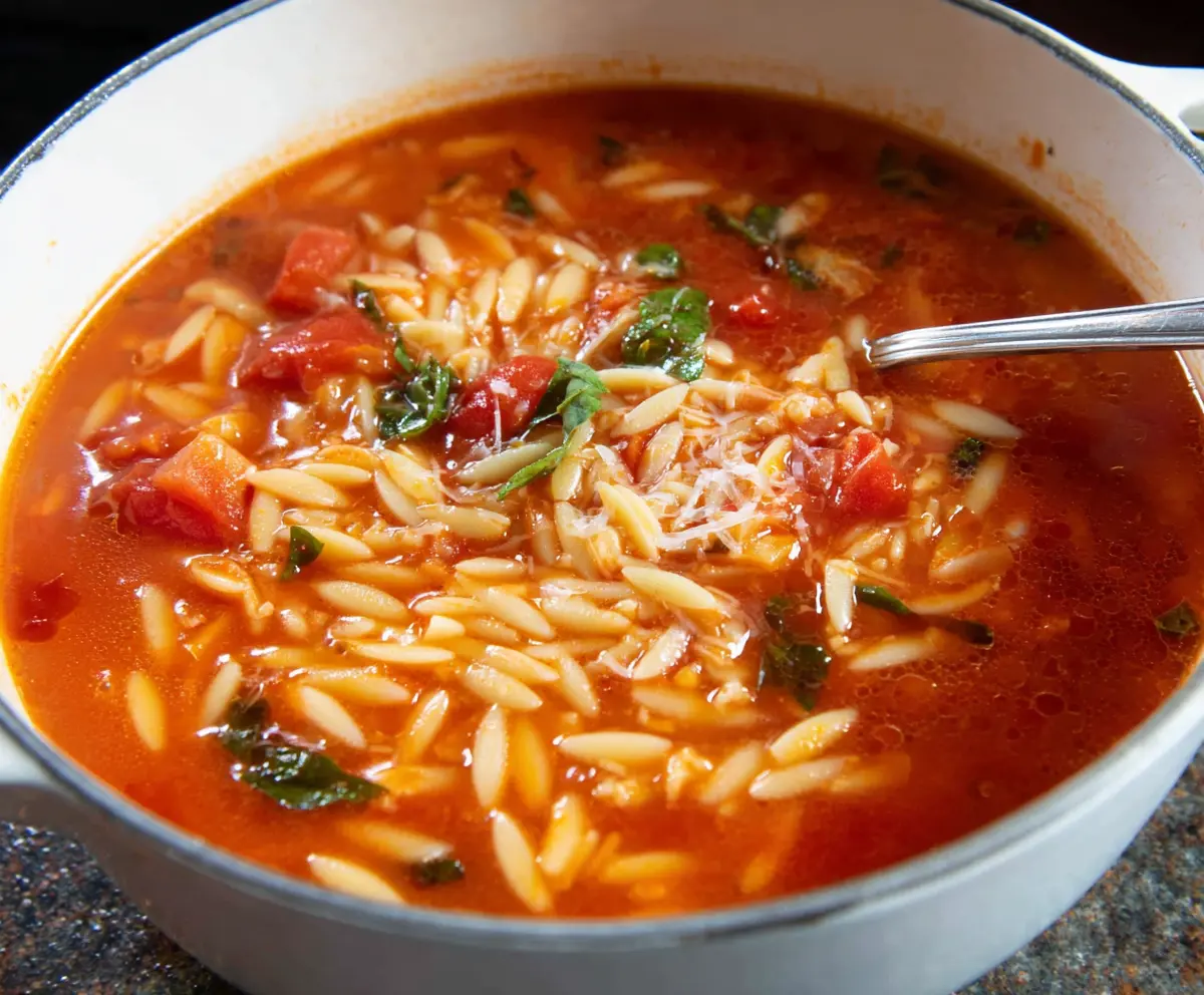 Easy Tomato Orzo Soup Recipe
